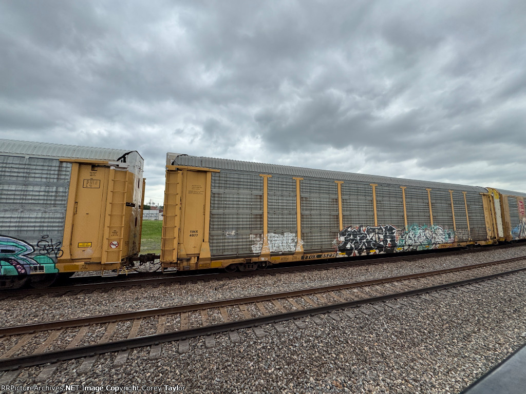 TTGX 852361